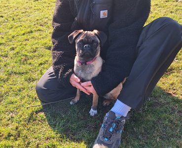 Mops sitz zwischen den Beines seiner Besitzerin