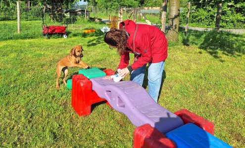RR erklimmt die Treppe
