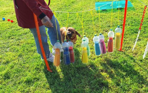 Ridgi beim Petflaschevorhang